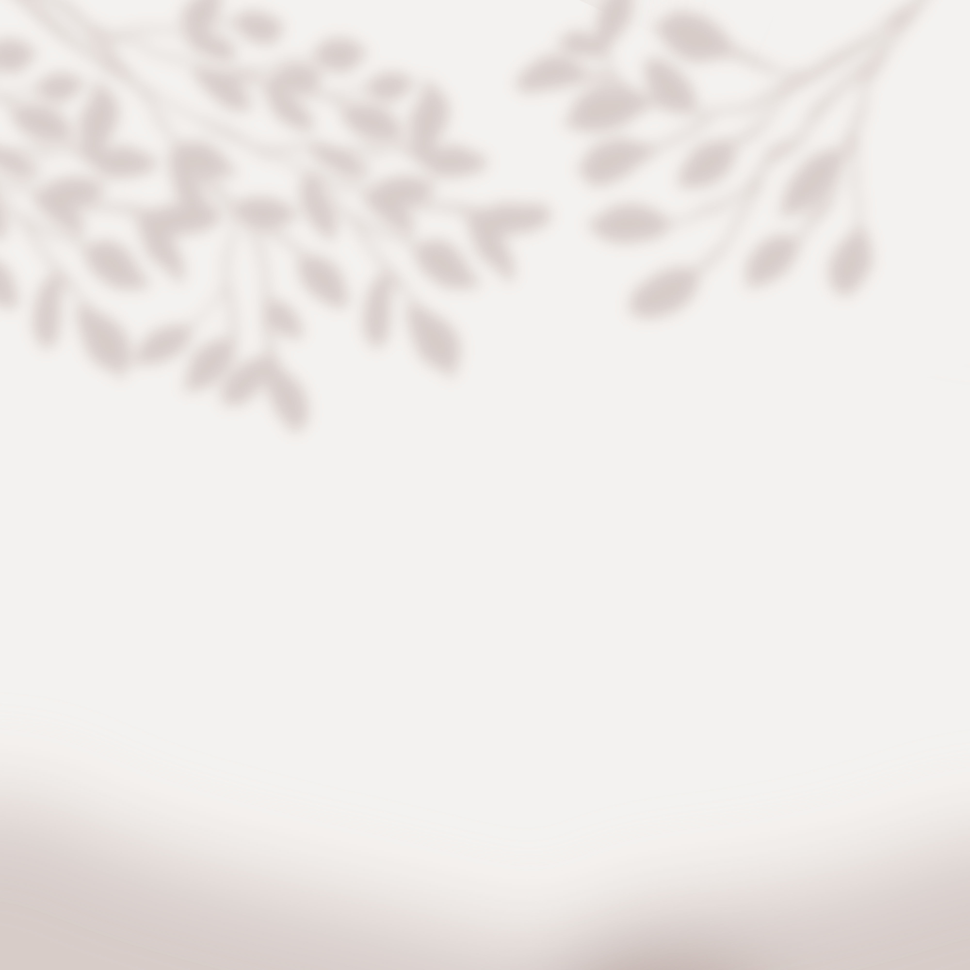 leaves shadow background